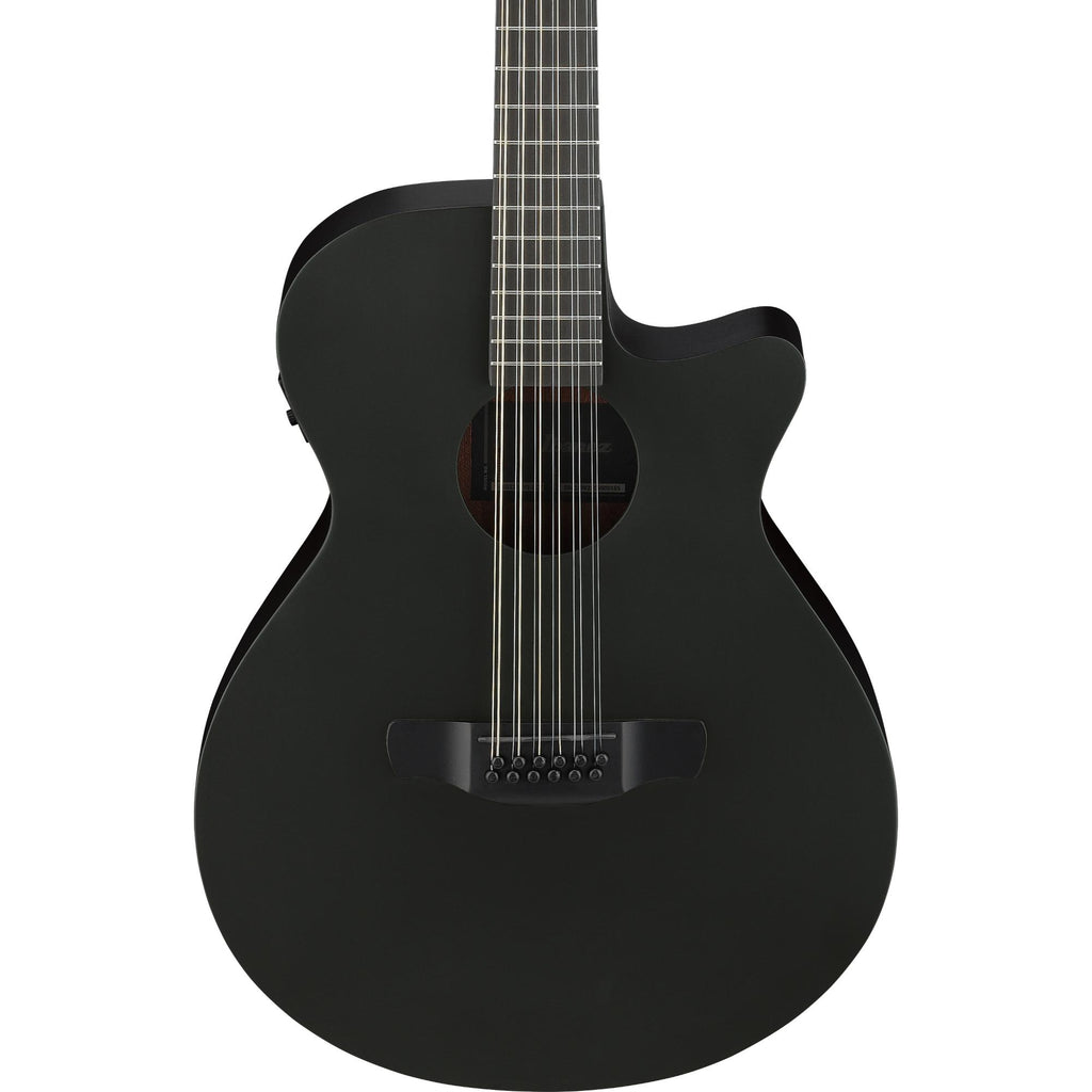 Ibanez AEG1221 12-string Acoustic-Electric Guitar - Black Out