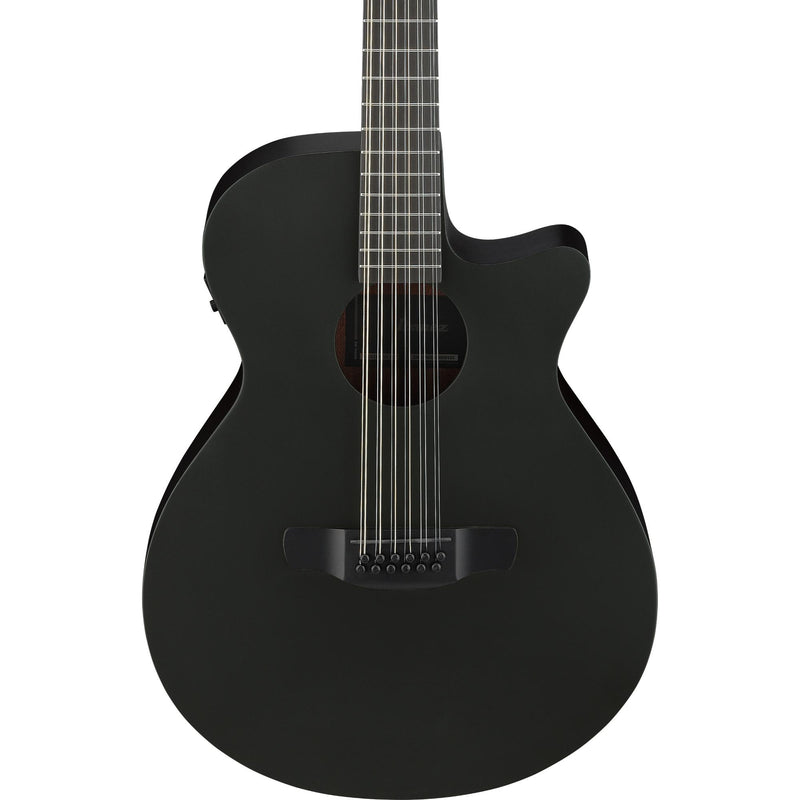 Ibanez AEG1221 12-string Acoustic-Electric Guitar - Black Out