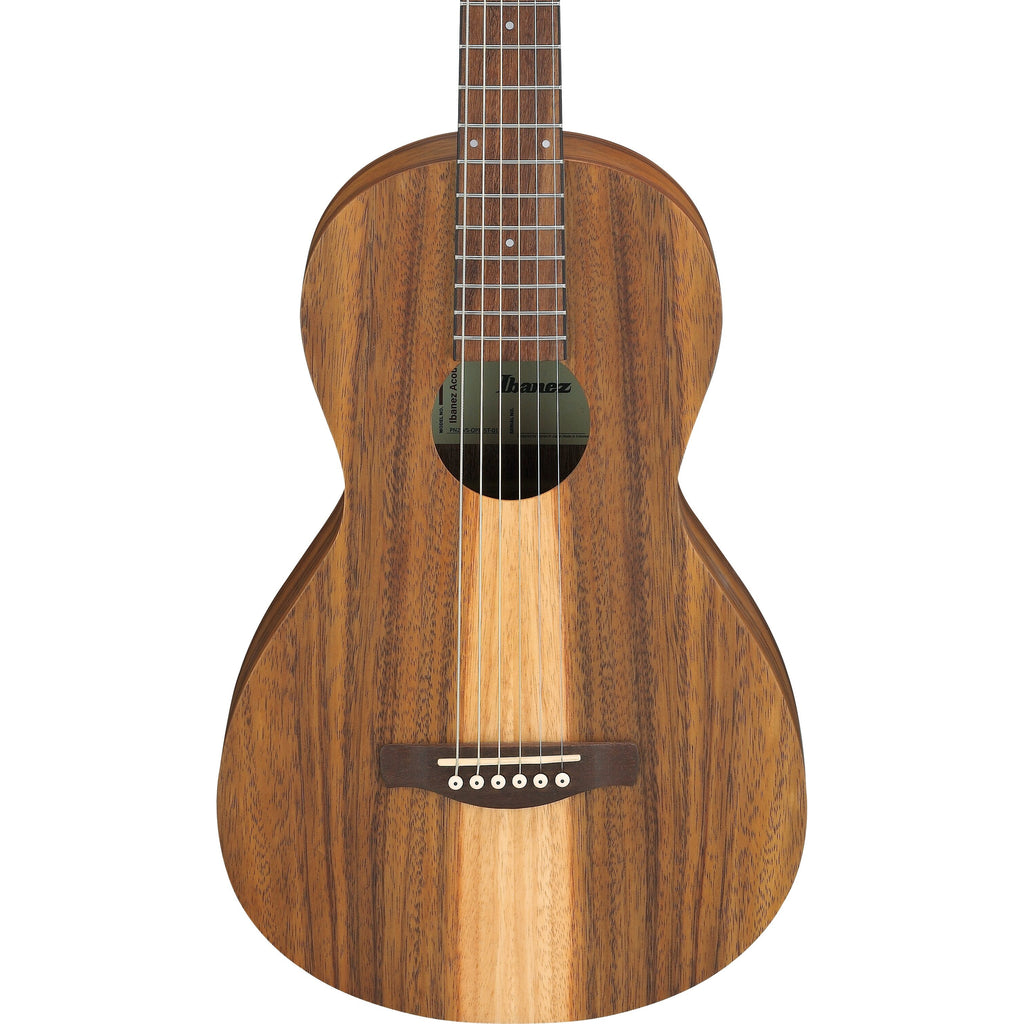 Ibanez PN2WS Acoustic Guitar w/ Bag - Open Pore Brown