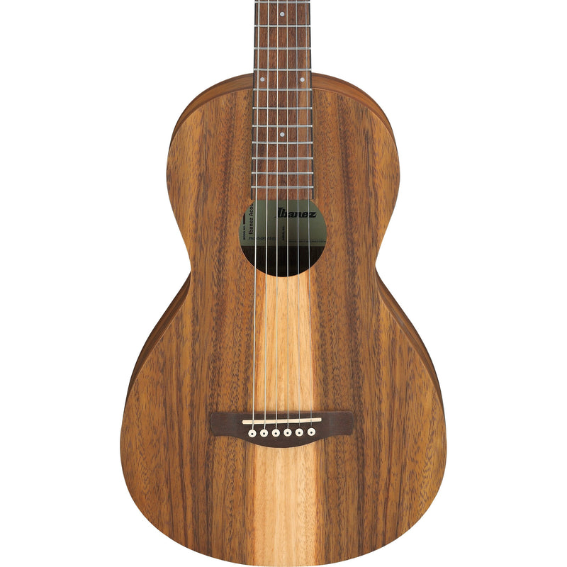 Ibanez PN2WS Acoustic Guitar w/ Bag - Open Pore Brown