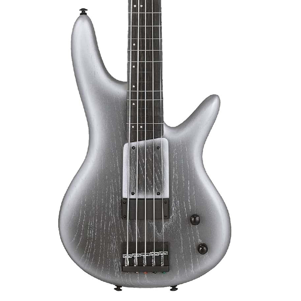 Ibanez Gary Willis 25th-anniversary Signature 5-string Fretless Electric Bass - Silver Wave Burst Flat