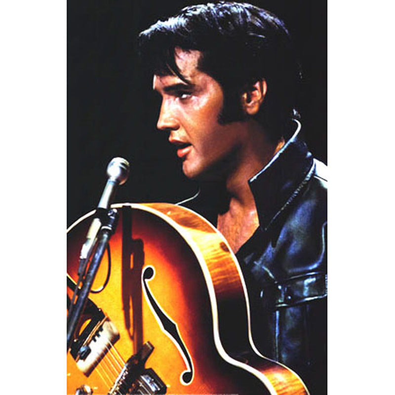 Elivis Leather Poster