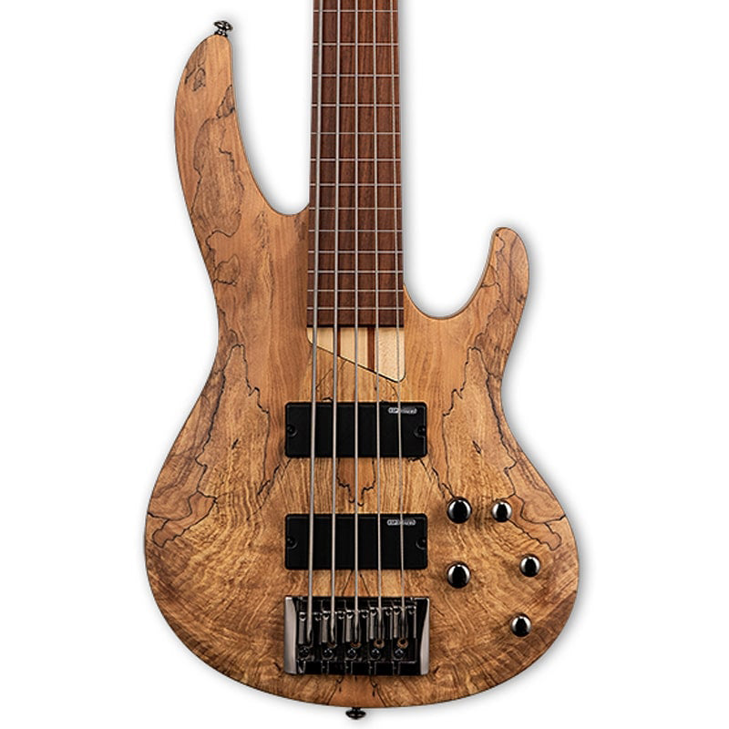 ESP LTD B-205SM Fretless 5-String Bass - Spalted Maple Natural Satin
