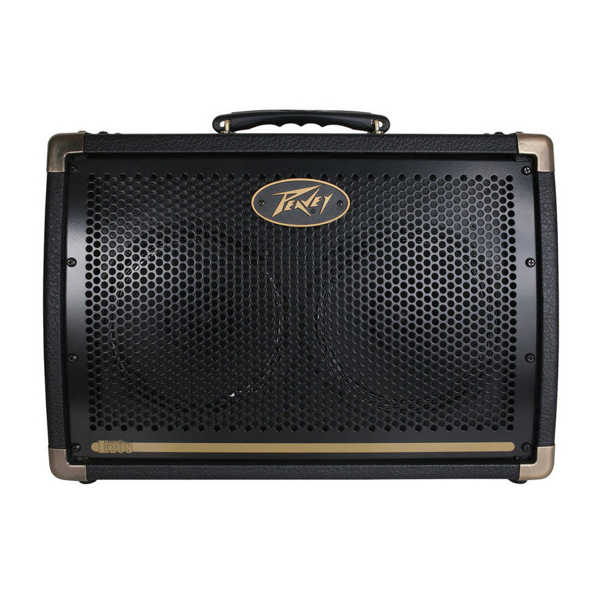 Peavey Ecoustic E208