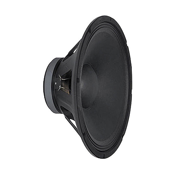 PEAVEY PRO 10 SPEAKER