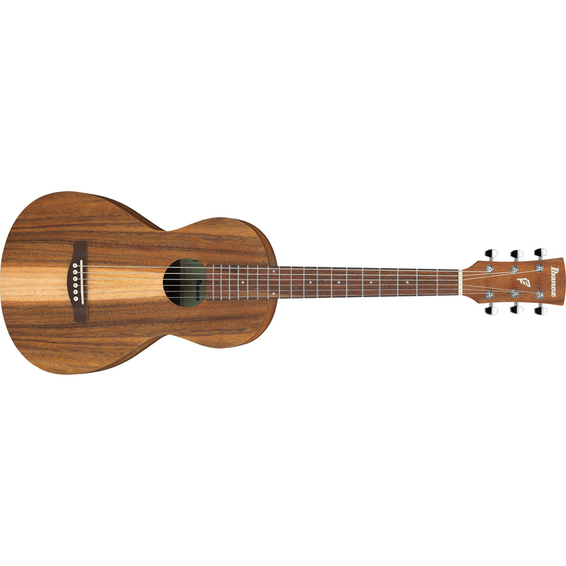 Ibanez PN2WS Acoustic Guitar w/ Bag - Open Pore Brown