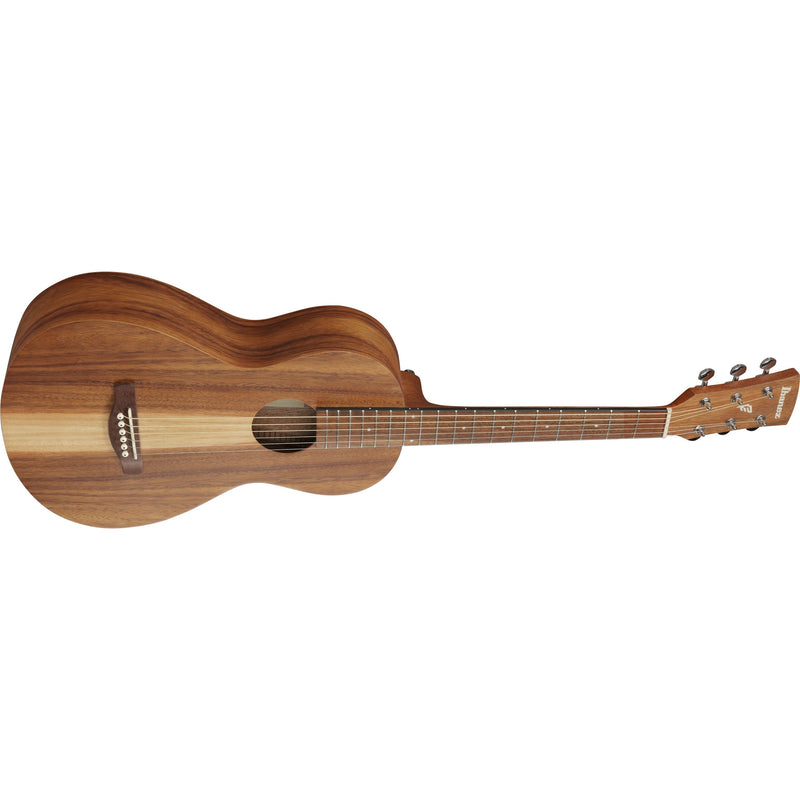 Ibanez PN2WS Acoustic Guitar w/ Bag - Open Pore Brown