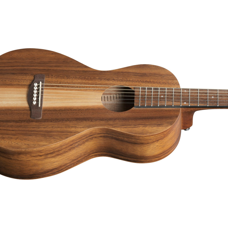 Ibanez PN2WS Acoustic Guitar w/ Bag - Open Pore Brown