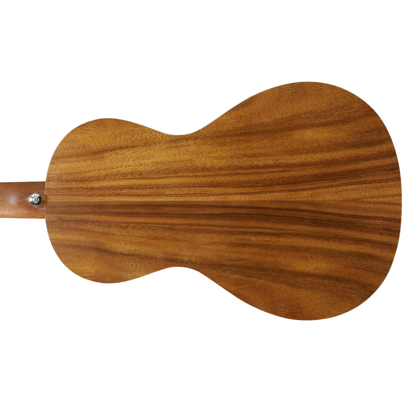 Ibanez PN2WS Acoustic Guitar w/ Bag - Open Pore Brown