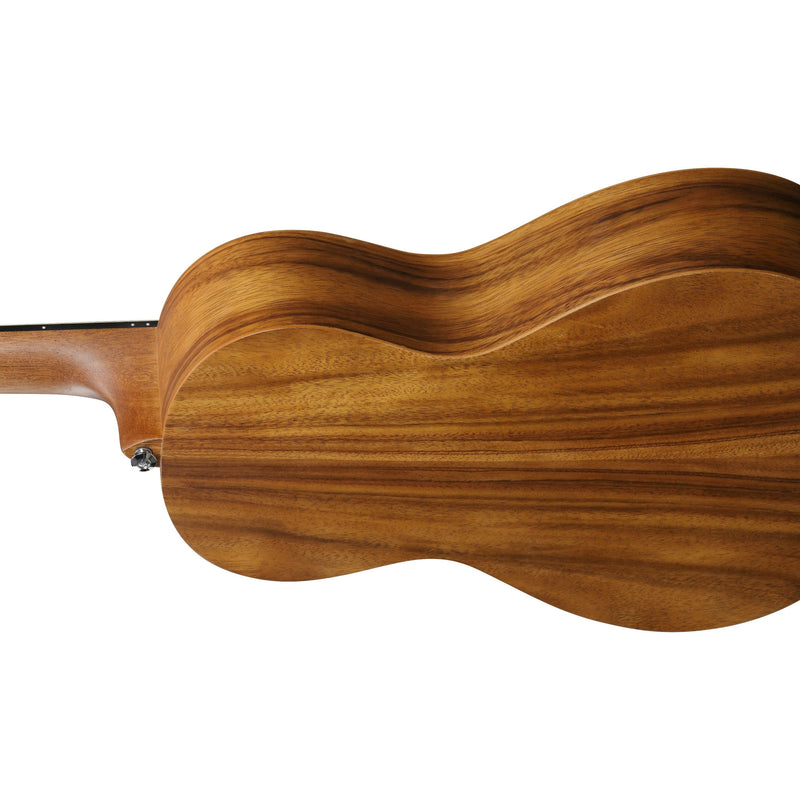 Ibanez PN2WS Acoustic Guitar w/ Bag - Open Pore Brown