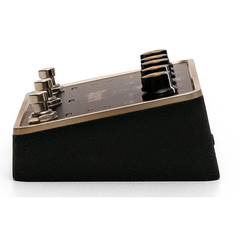 Positive Grid Spark Multi-Effects Pedal