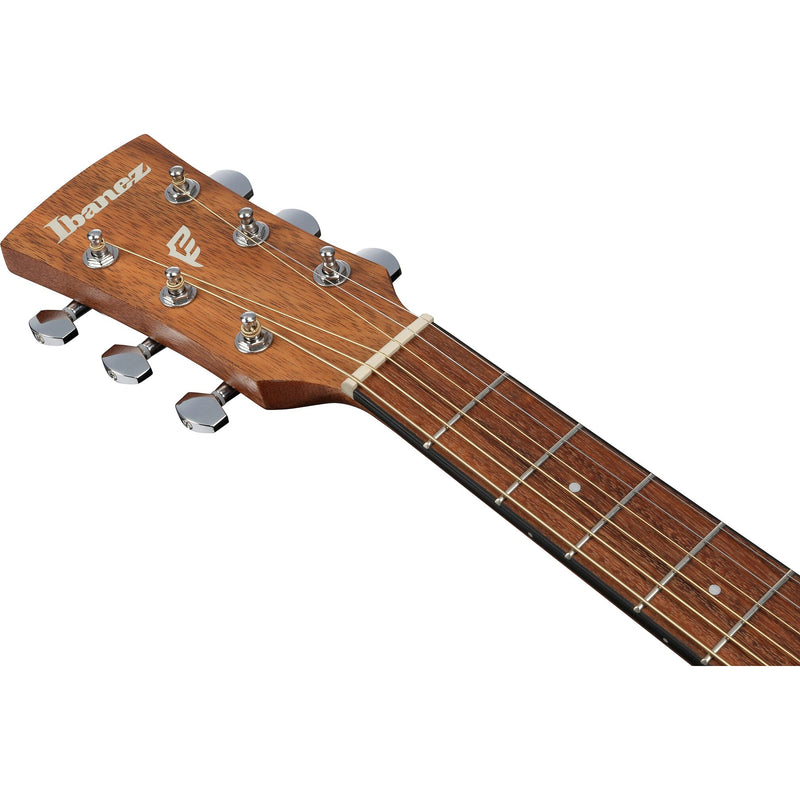 Ibanez PN2WS Acoustic Guitar w/ Bag - Open Pore Brown