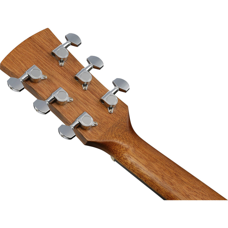 Ibanez PN2WS Acoustic Guitar w/ Bag - Open Pore Brown