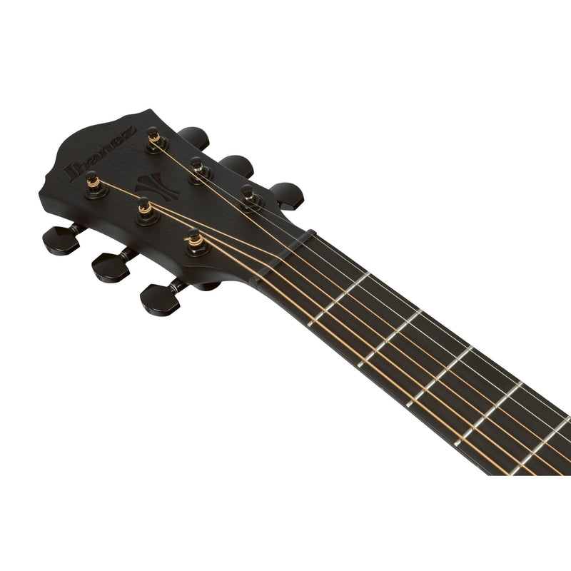 Ibanez AEG621 Acoustic-Electric Guitar - Black Out