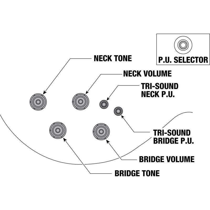 Ibanez AR625FMSPL AR Standard Guitar - Caramel Burst Low Gloss