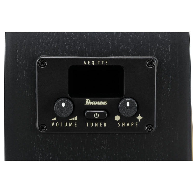 Ibanez AEG1221 12-string Acoustic-Electric Guitar - Black Out