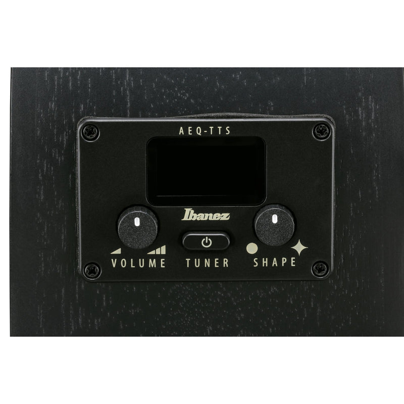 Ibanez AEG621 Acoustic-Electric Guitar - Black Out