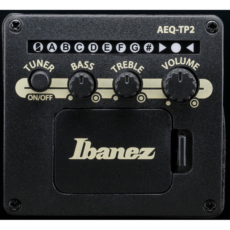 Ibanez AJ7012M1E Artwood Jumbo 12-String Acoustic-Electric Guitar - Black