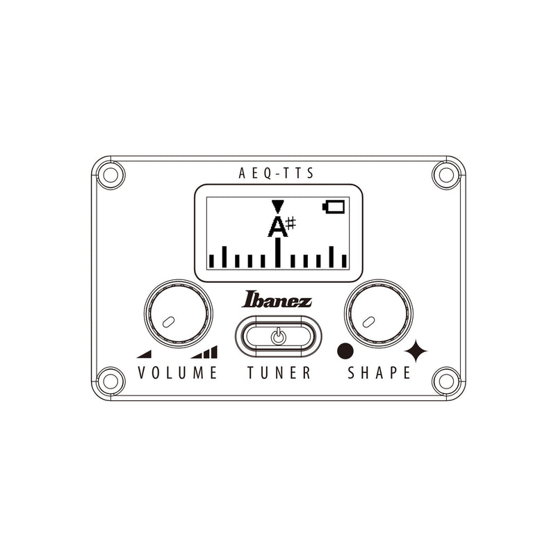 Ibanez AEG1221 12-string Acoustic-Electric Guitar - Black Out