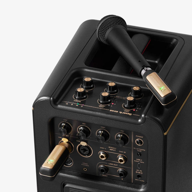 Positive Grid Spark Link XLR Wireless Microphone System