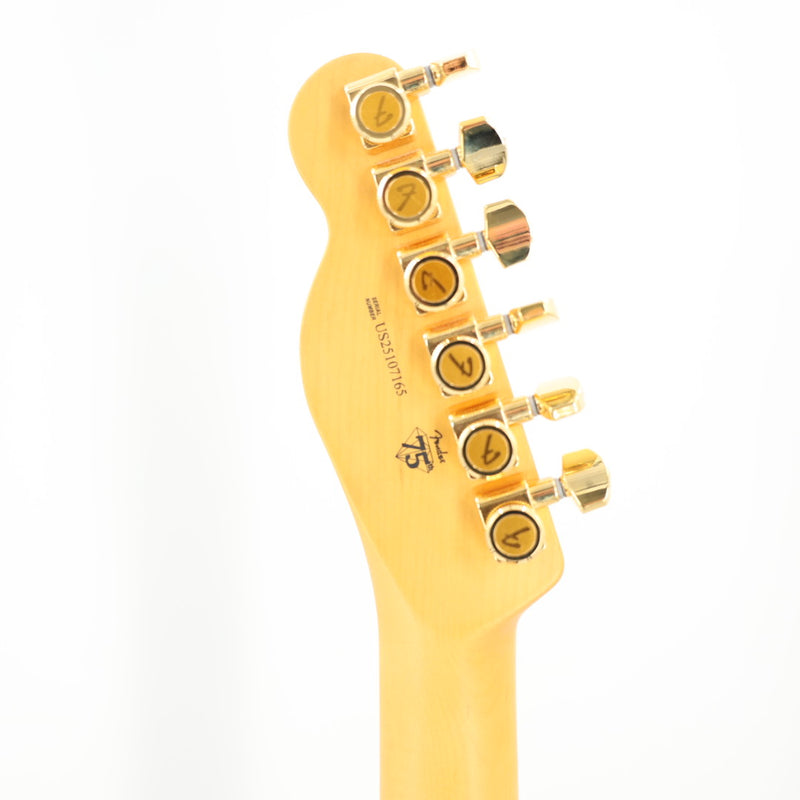 Fender 75th Anniversary American Professional Custom Telecaster Guitar w/ Hardshell Case - 2-Color Sunburst