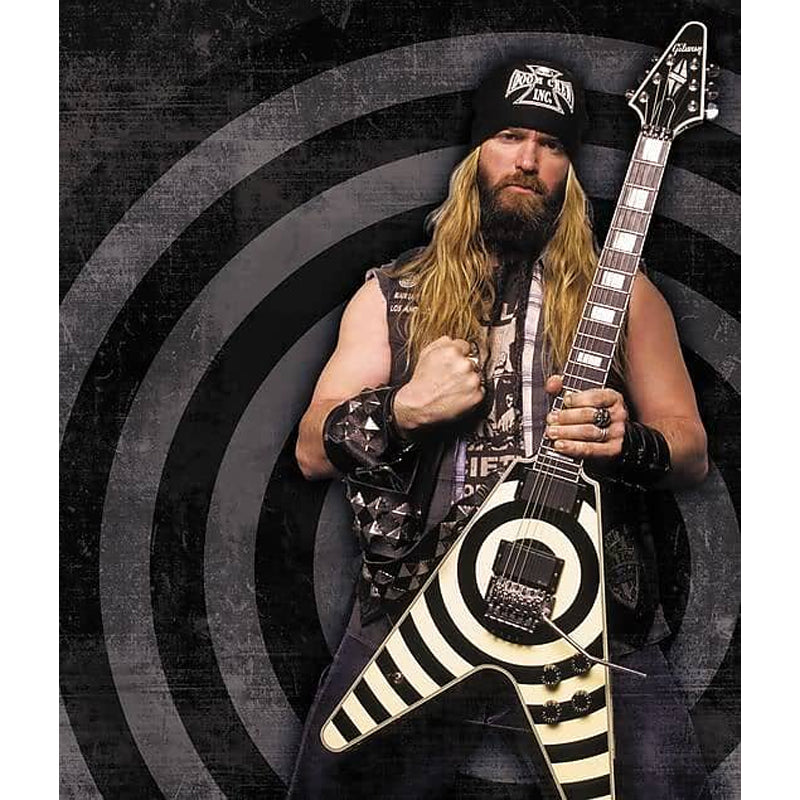 EMG ZW Zakk Wylde Signature Pickup Set - Black w/Short Shaft Pots