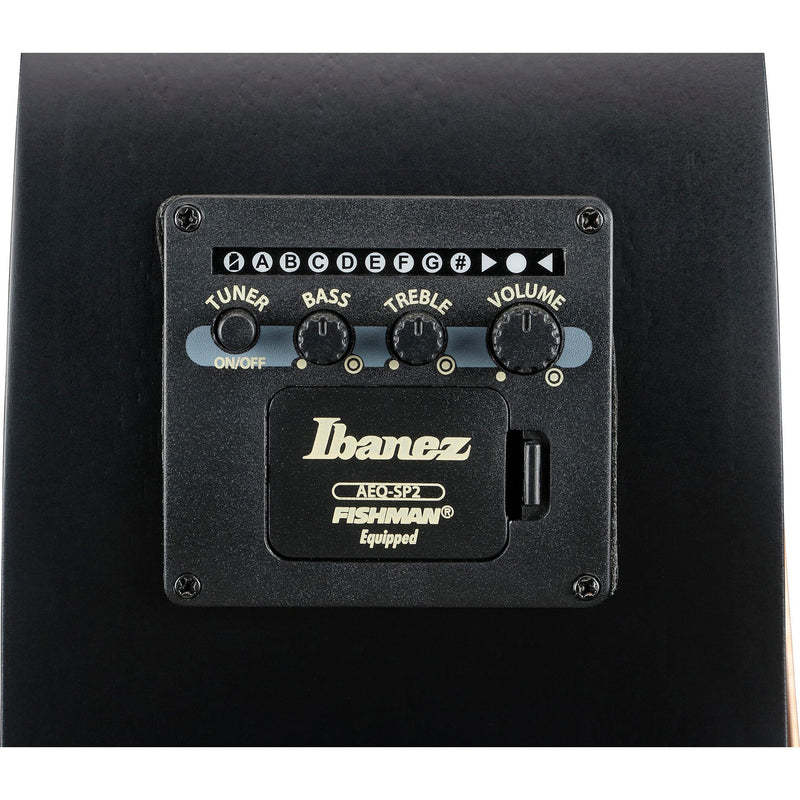 Ibanez AEG721 7-String Acoustic-Electric Guitar - Black Out