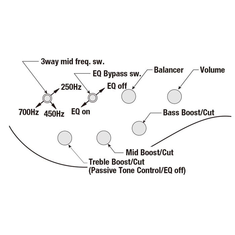 Ibanez BTB806MS 6-string Bass w/ Hardshell Case - Transparent Gray Flat