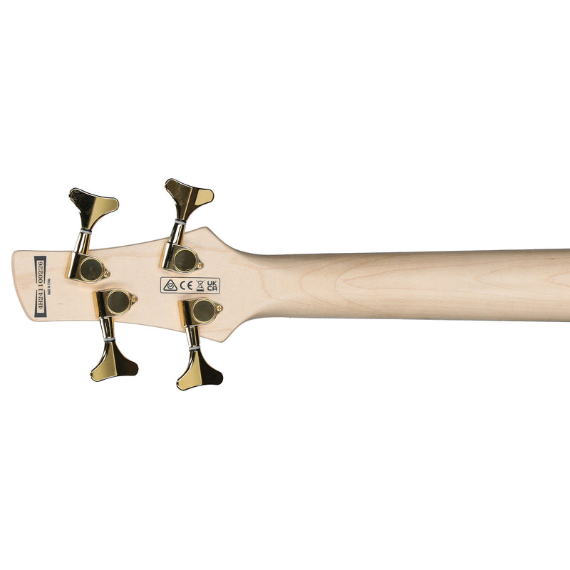 Ibanez GSR200PC Gio SR 4-String P/J Bass - Transparent Marine Burst