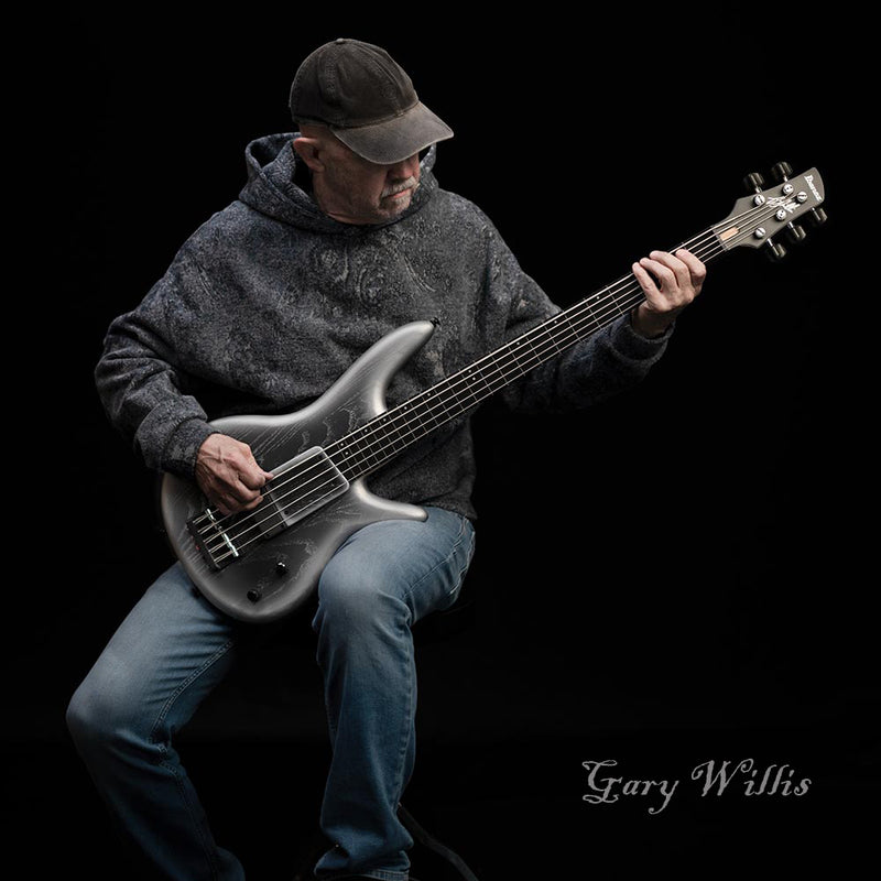 Ibanez Gary Willis 25th-anniversary Signature 5-string Fretless Electric Bass - Silver Wave Burst Flat