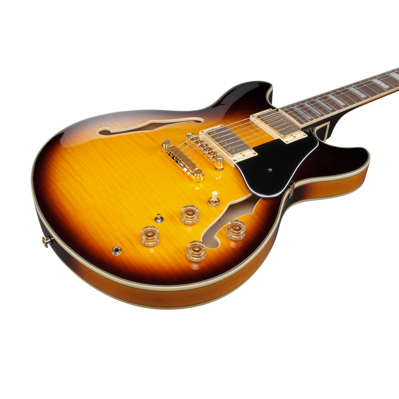 Ibanez JSM10EM John Scofield Signature Semi-Hollow Body Guitar - Two-Tone Burst