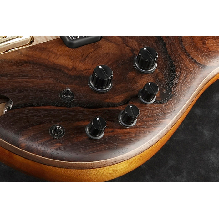 Ibanez SR1355B Premium 5-string Bass Guitar w/ Nordstrom Pickups - Dual Mocha Burst Flat
