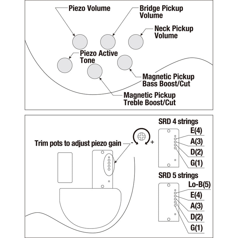 Ibanez SRD905 Bass Workshop SRD905 5-String Bass w/ Nordstrand Pickups - Cosmic Blue Starburst Low Gloss