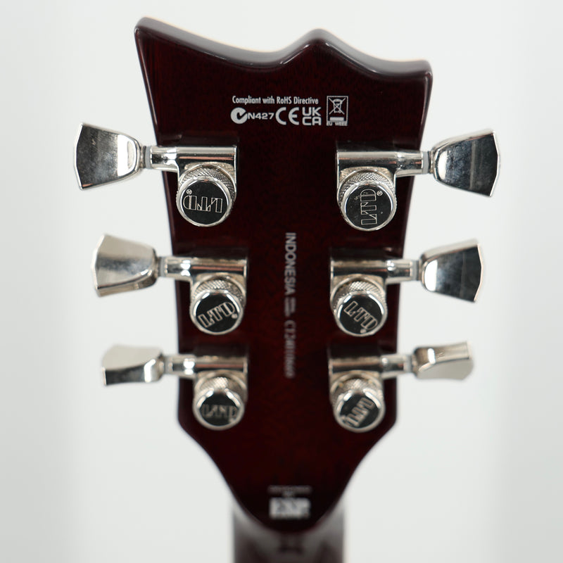 ESP LTD EC Series EC-1000 Flamed Maple Top Electric Guitar- Amber Sunburst