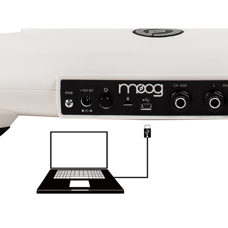 Moog Theremini Theremin with Assistive Pitch Correction
