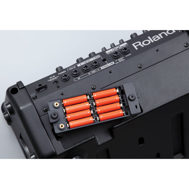 Roland CUBE Street EX 2x8" 50-watt AC and Battery Powered Portable Guitar Combo Amplifier