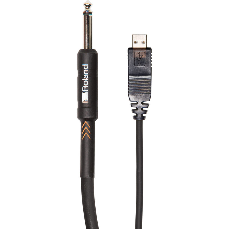 Roland RCC-10-US14 Black Series 1/4" TS Male to USB Type-A Cable - 10 feet