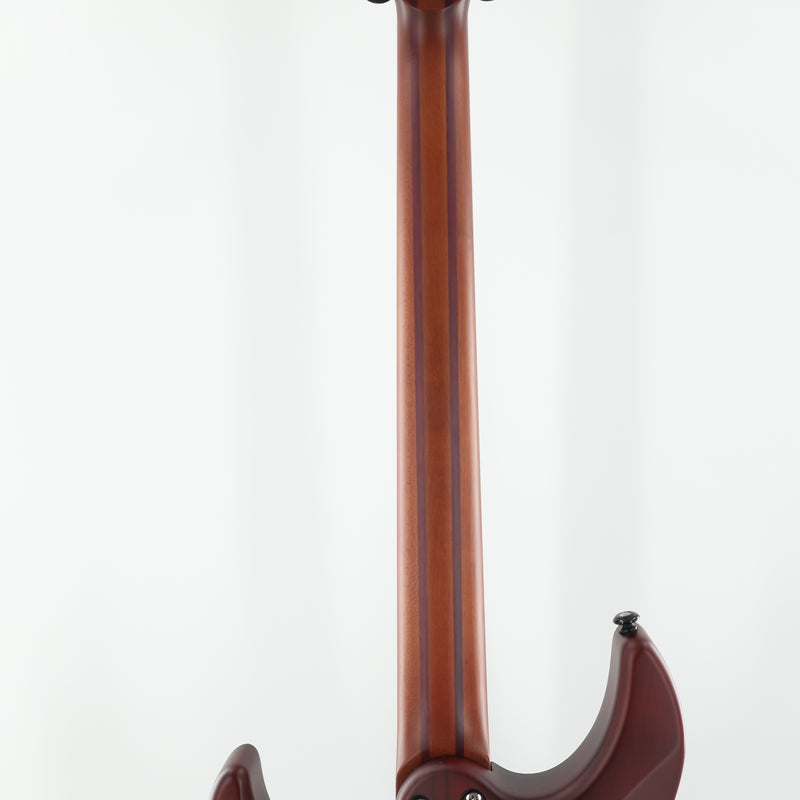 Schecter C-1 Exotic Ebony Guitar - Natural Satin