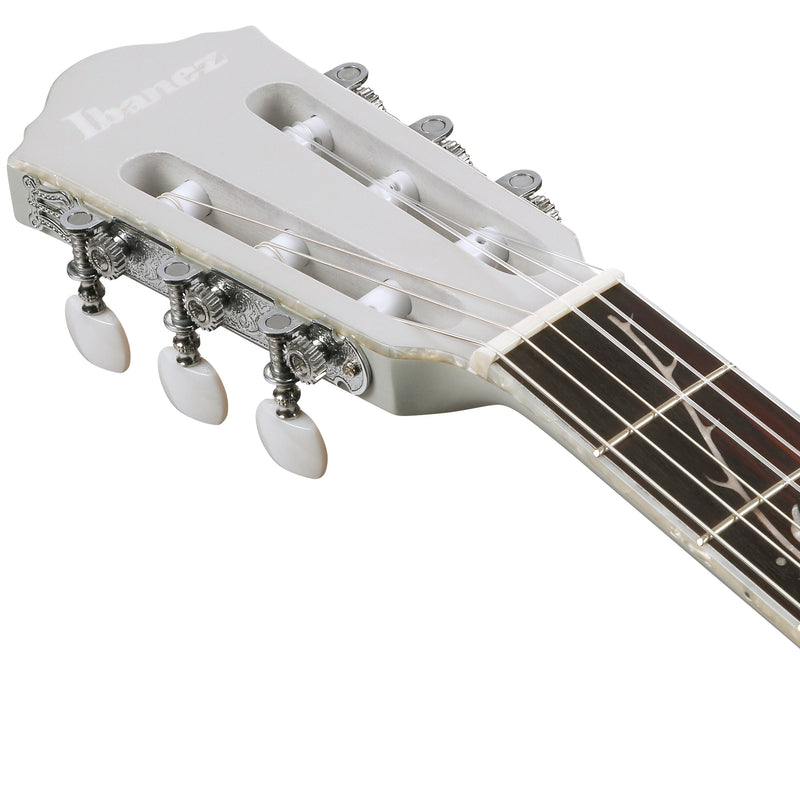 Ibanez Tim Henson TOD10N Classical Acoustic-Electric Guitar - Silver Metallic Flat