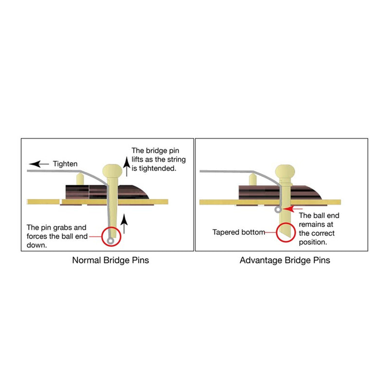Ibanez AE3007FMHTBH 7-String Acoustic Guitar