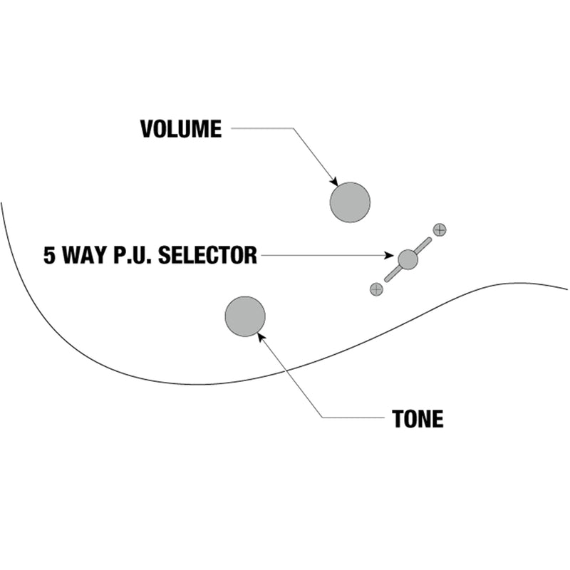 Ibanez S520AHABS S Standard 6str Electric Guitar  - Antique Brown Stained