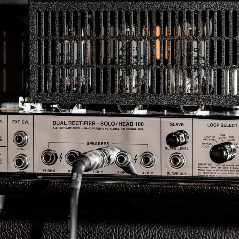 Mesa/Boogie '90s Dual Rectifier 100-watt Head - Black Diamond Faceplate