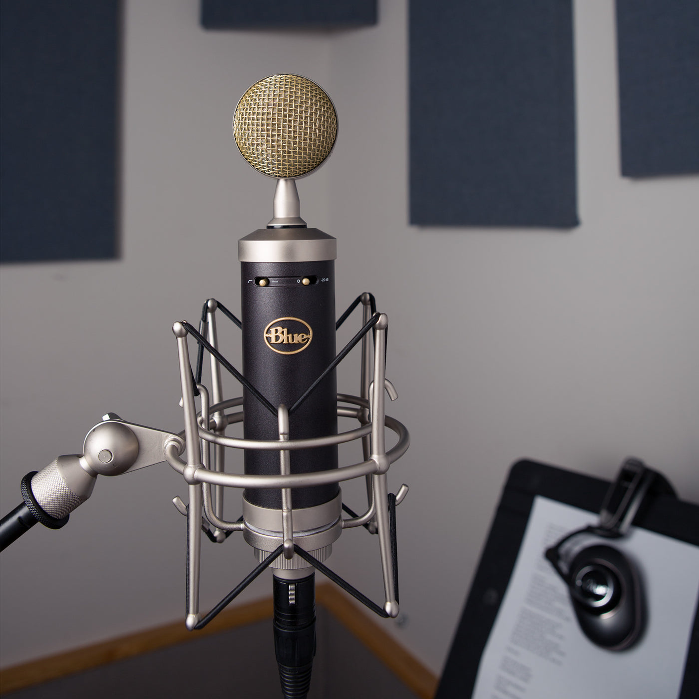 Blue Microphones Baby Bot SL – Motor City Guitar