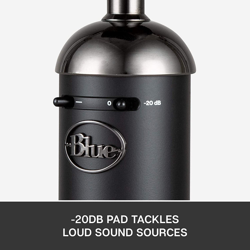 Blue Microphones Spark SL Blackout Large-diaphragm Condenser Microphone