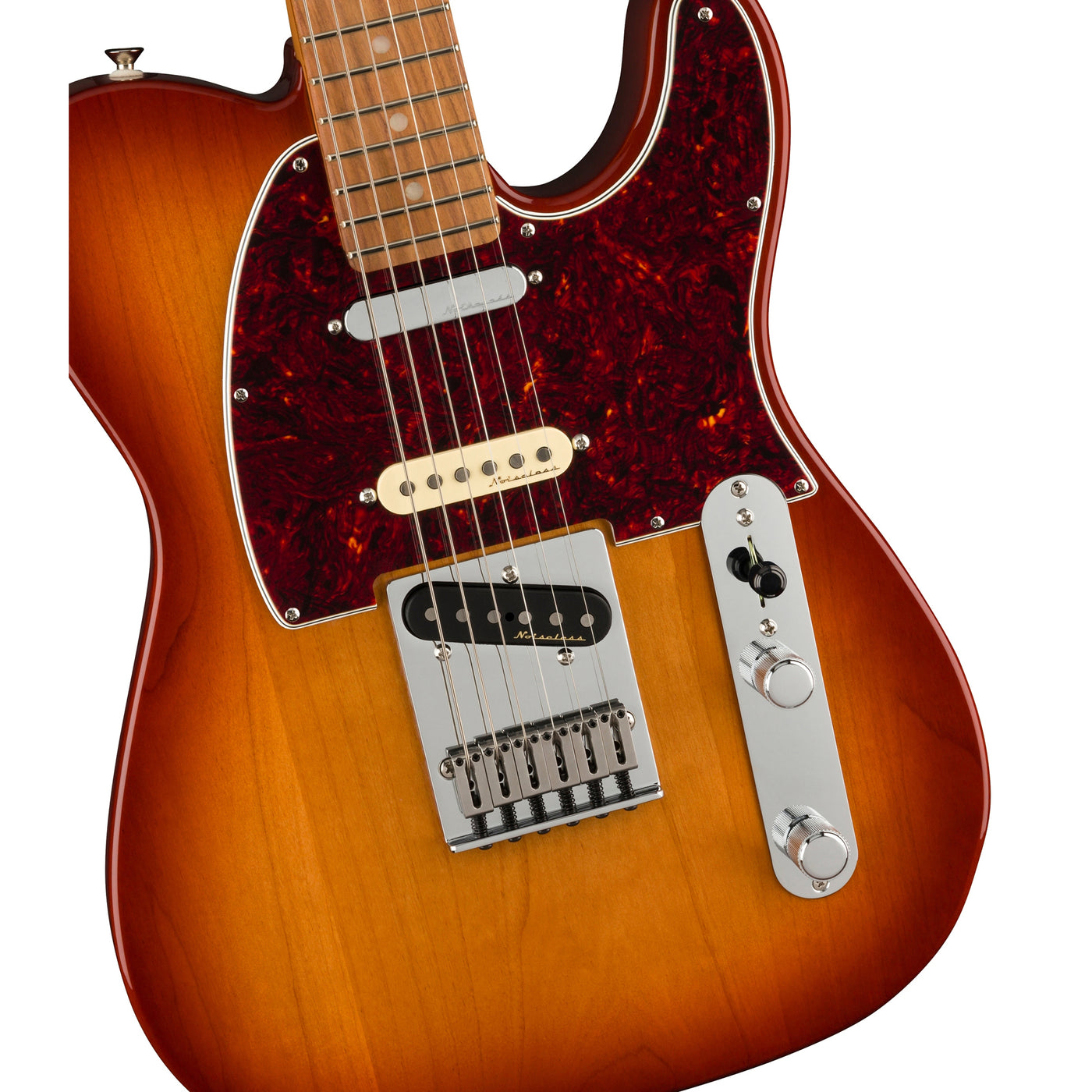 FENDER フェンダー /Player Plus Nashville Telecaster Pau Ferro