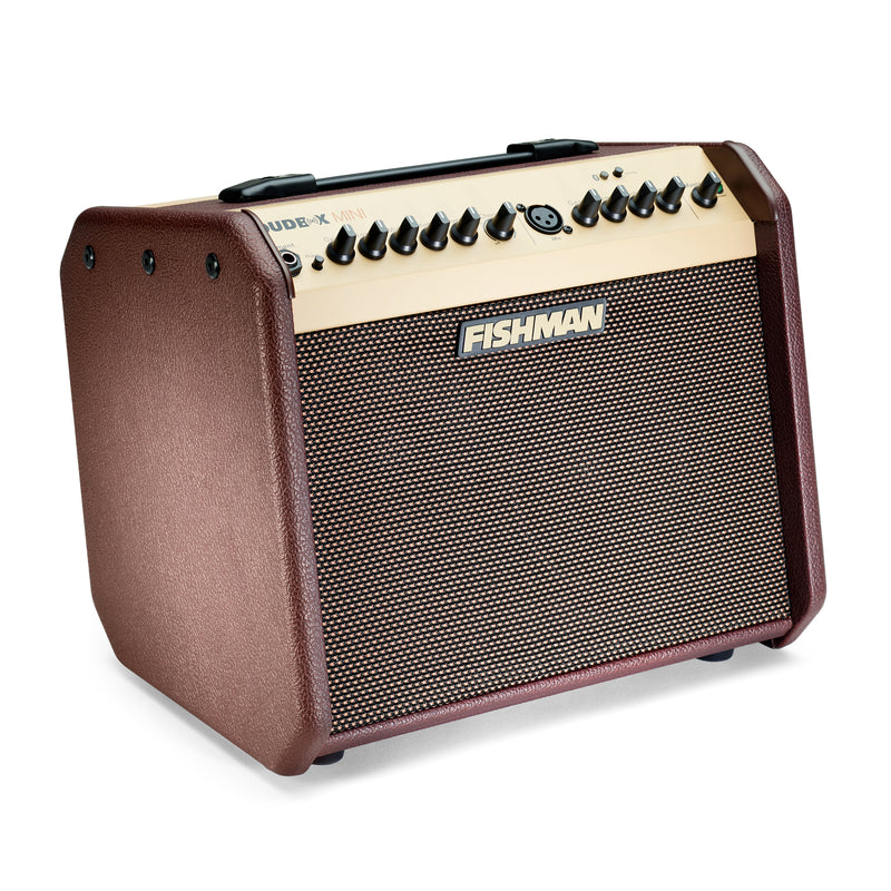 Fishman Loudbox Mini Acoustic Guitar Amp, 60 W, 1x6.5" with Bluetooth