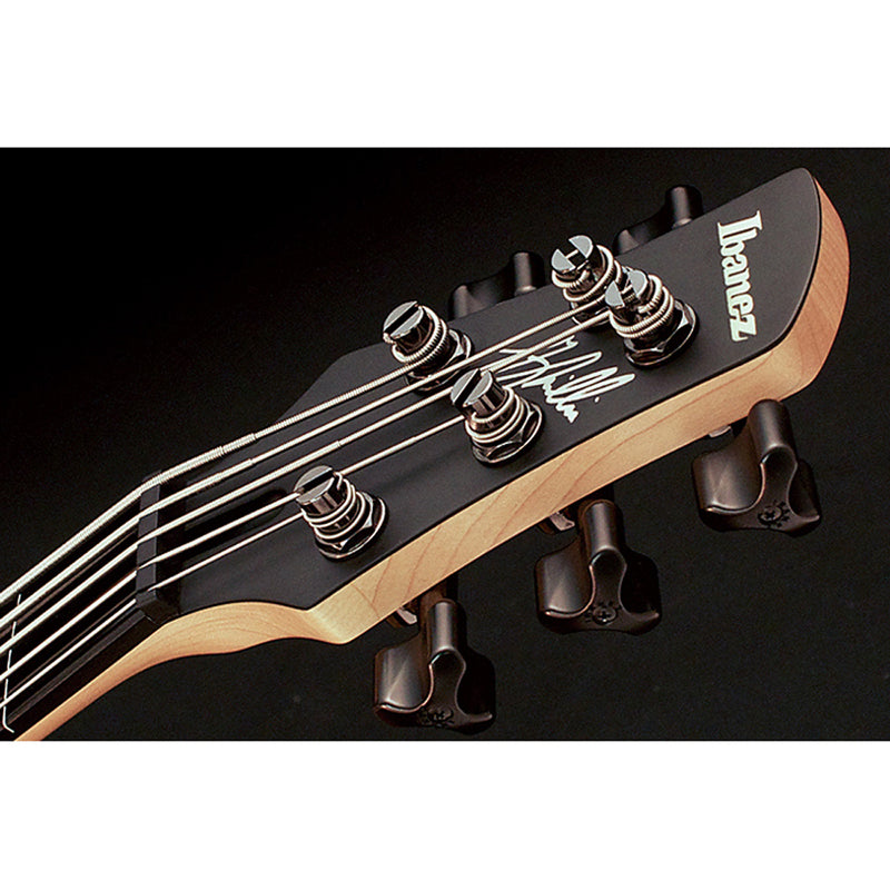 Ibanez GWB35BKF Gary Willis Signature Fretless 5-string Bass - Black Flat