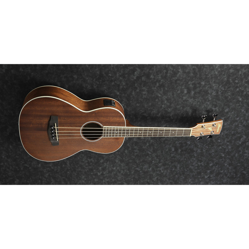 Ibanez PNB14E Performance Series Acoustic-Electric Bass - Open Pore Natural