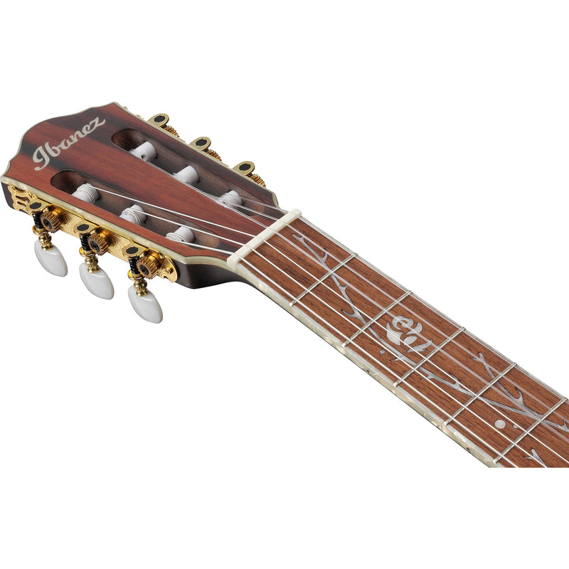 Ibanez Tim Henson TOD10N Classical Acoustic-Electric Guitar - Transparent Black Flat