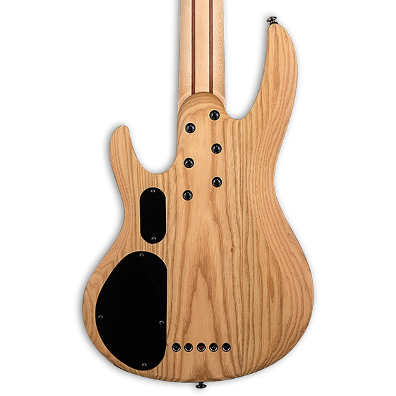 ESP LTD B-205SM Fretless 5-String Bass - Spalted Maple Natural Satin
